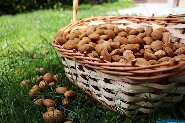 High Quality Almonds and Walnuts by Briden Wilson Farm