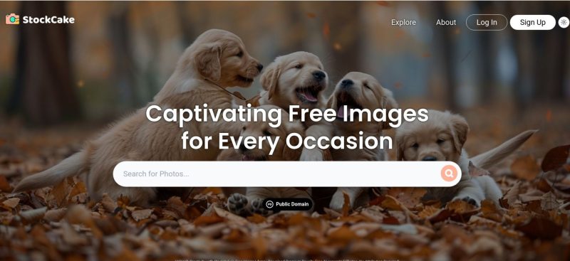 Best Website for AI-Generated Images -Best Stock Images by StockCake